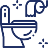 Toilet Upgrades